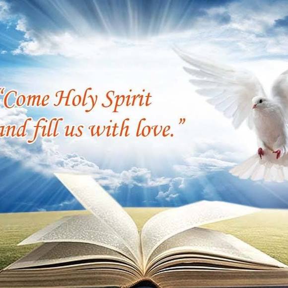 Meet your Posher, Sam - Picture 1 of 1